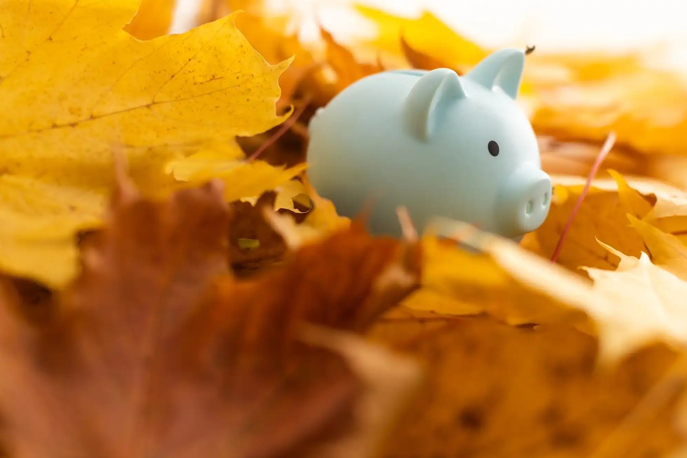 Budgeting for Tax Season—What Should You Do Now?