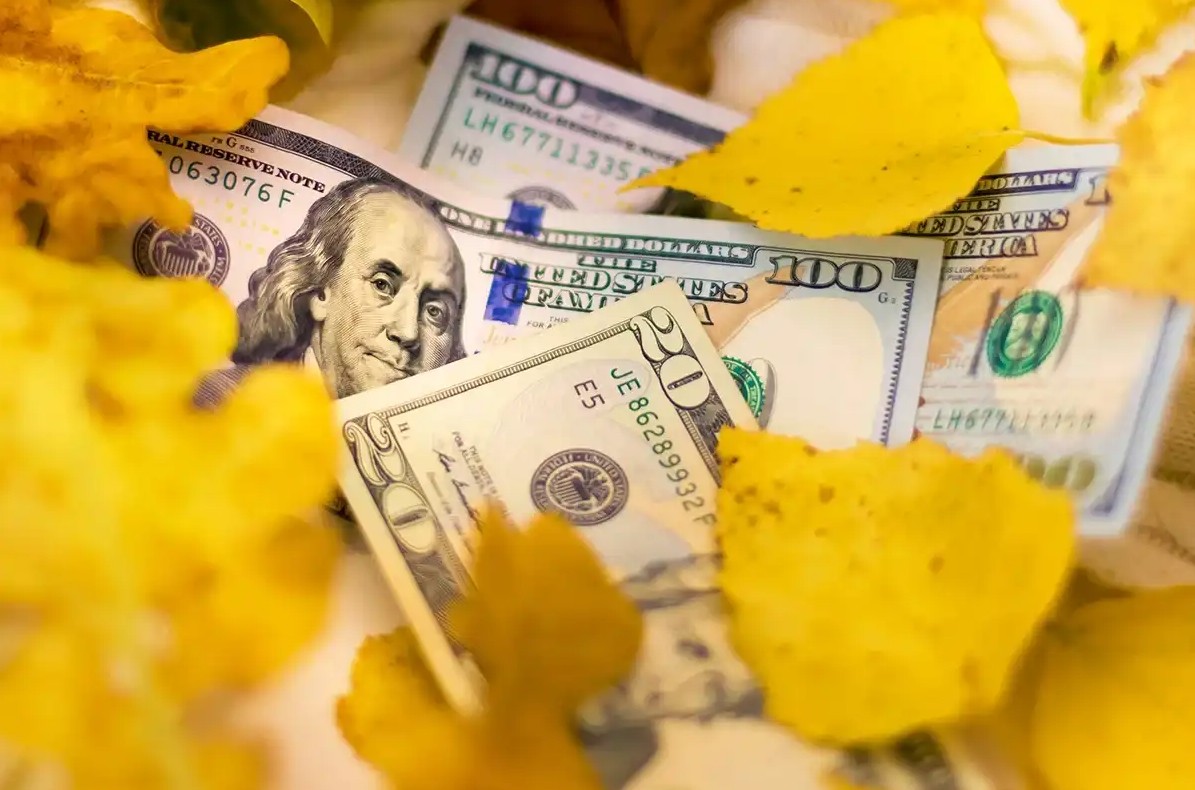 Twenty dollar bill with fall leaves