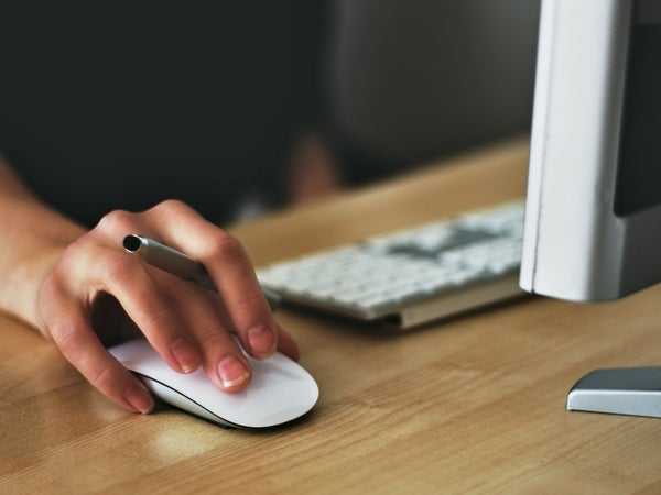 woman searching for job on computer